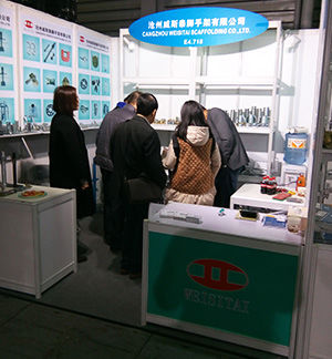 Échafaudage Cie., profil d'entreprise de Ltd 1 de la Chine Cangzhou Weisitai